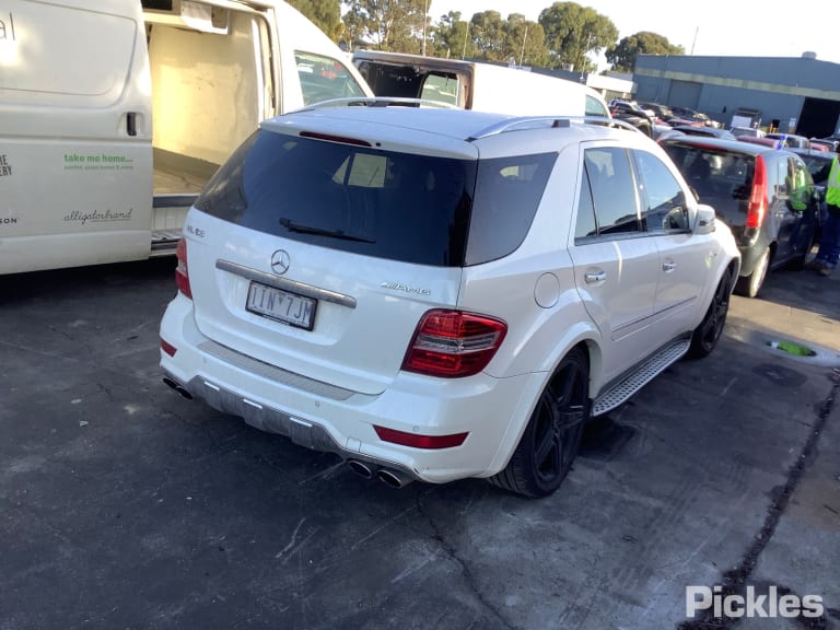 2011 MERCEDES M CLASS W164, 09/05-12/11 COURTESY LIGHT