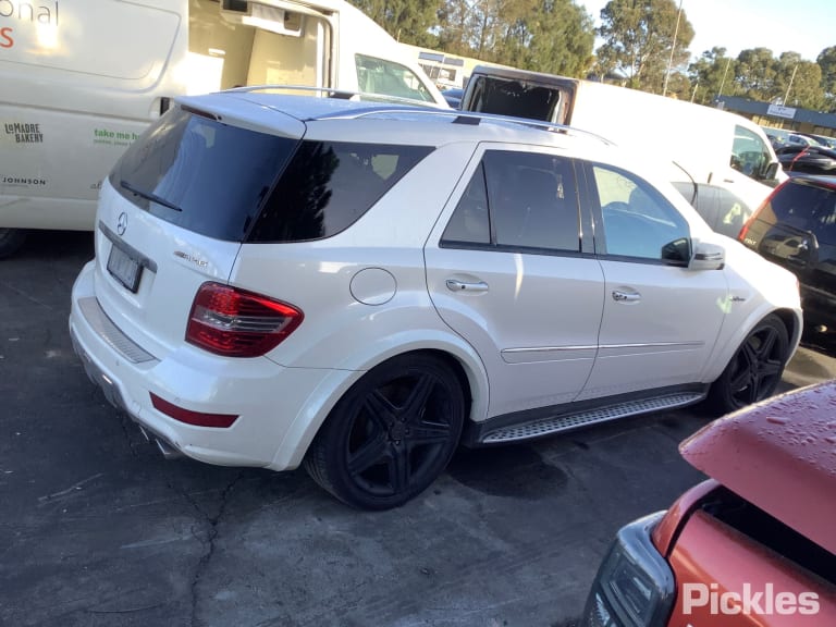 2011 MERCEDES M CLASS W164, 09/05-12/11 COURTESY LIGHT