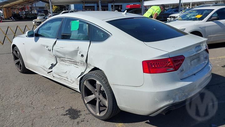 2014 AUDI A5/S5 A5, 8T, COUPE/HATCH, SPORTS TYPE, 10/07-11/16 8T0413031AF LEFT FRONT STRUT