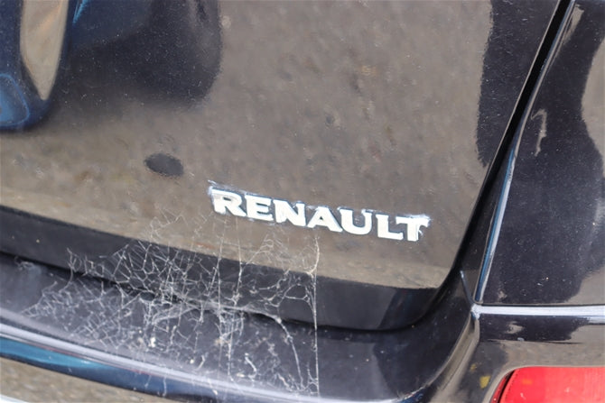 2010 RENAULT KALEOS H45 09/08-10/11 COURTESY LIGHT