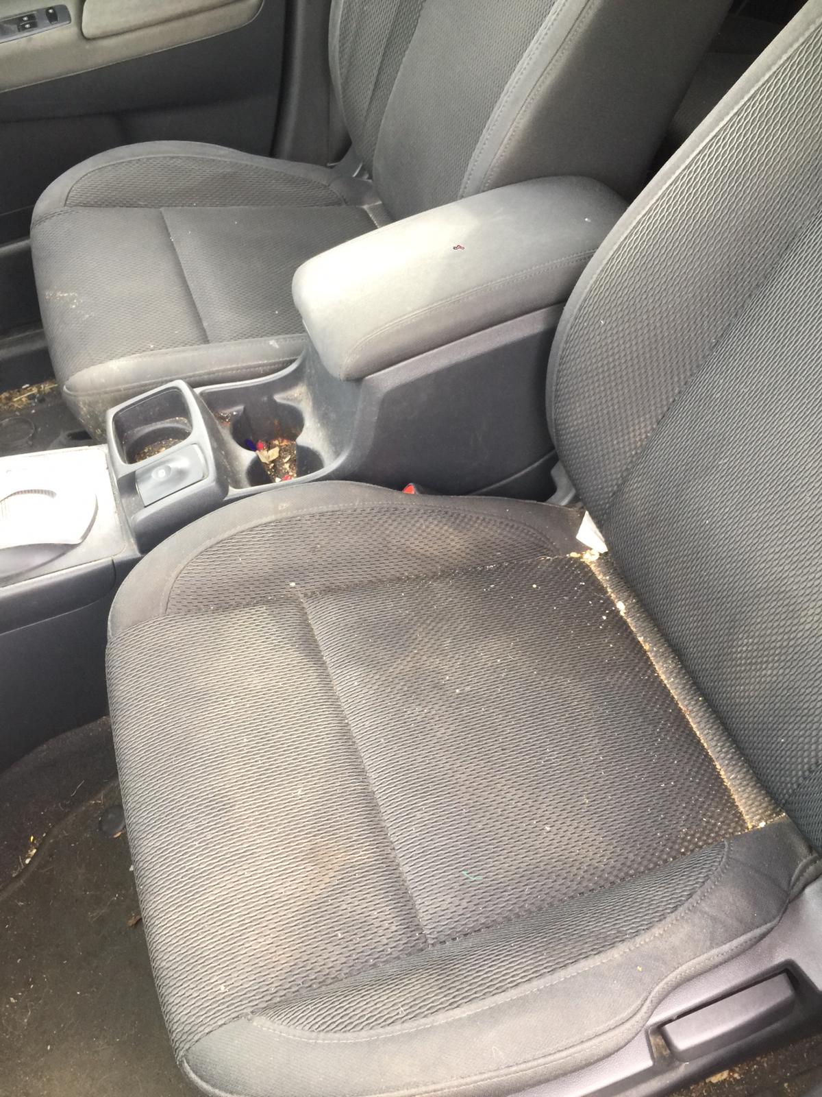 2008 RENAULT KALEOS H45, 09/08-04/16 801010029R LEFT FRONT DOOR