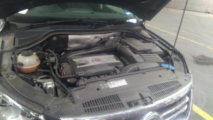 2010 VOLKSWAGEN TIGUAN REAR, 5N, 05/08-08/16 COURTESY LIGHT