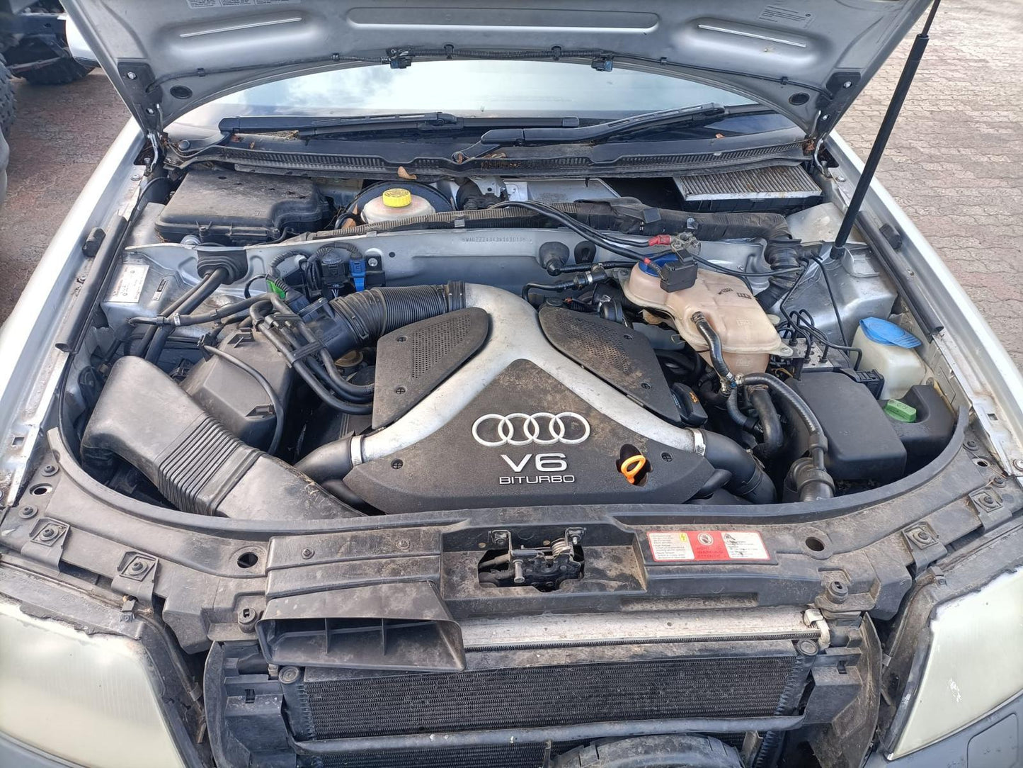 2003 AUDI A6 C5, REAR, 01/02-12/05 COURTESY LIGHT