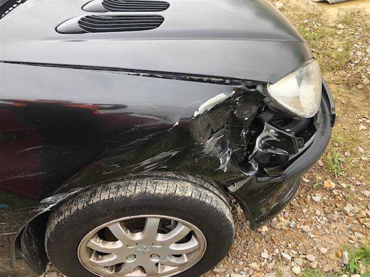 2003 PEUGEOT 206 XT/XR, EARLY (NO PAINT ON BUMPER MOULDS), T1, 10/99-11/07 7840J4 LEFT GUARD