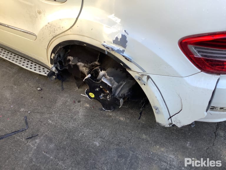 2011 MERCEDES M CLASS W164, 09/05-12/11  COURTESY LIGHT