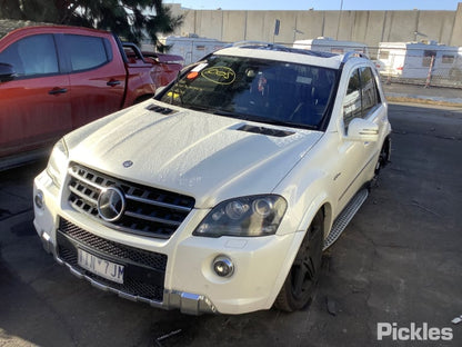 2011 MERCEDES M CLASS W164, 09/05-12/11  COURTESY LIGHT