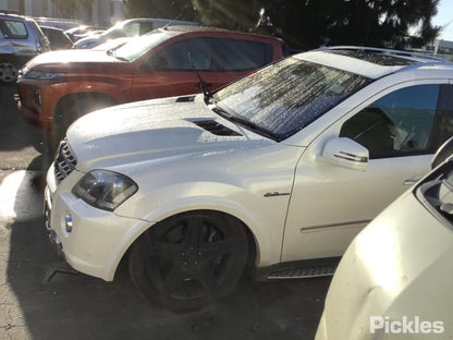 2011 MERCEDES M CLASS W164, 09/05-12/11  COURTESY LIGHT