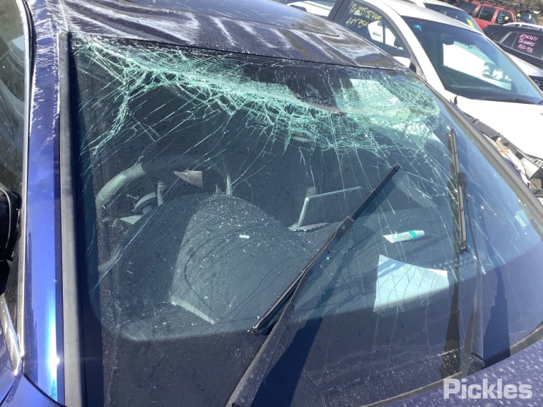 2019 AUDI A4 B9 8W, A4, SEDAN/WAGON, 10/15-11/20  LEFT FRONT DOOR