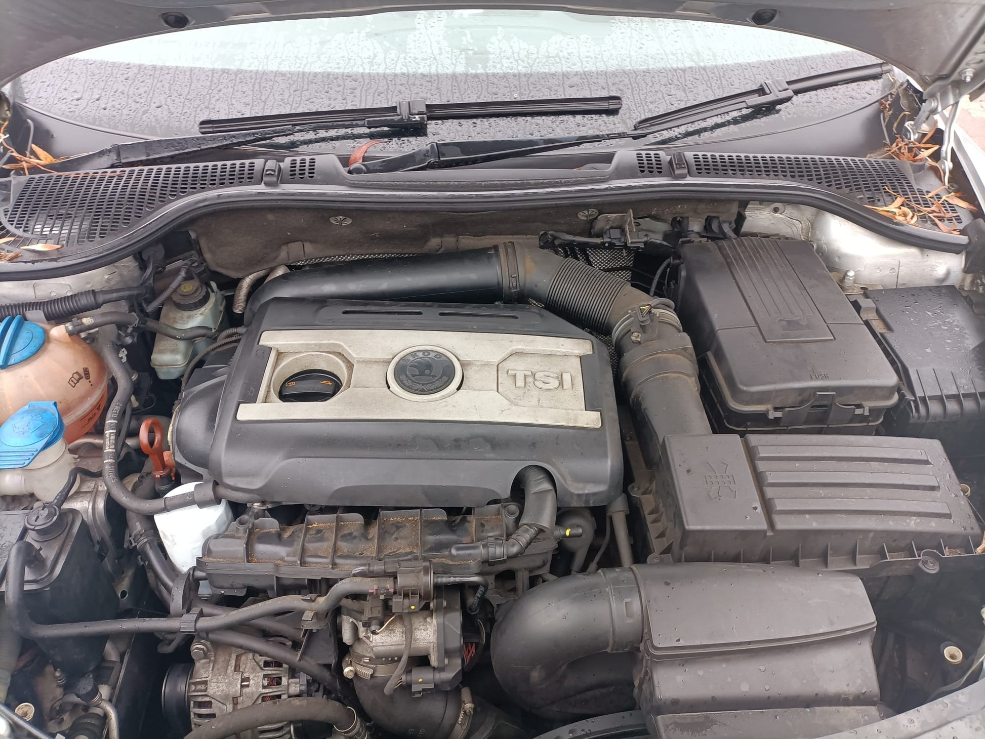 2010 SKODA OCTAVIA 1Z, ELEGANCE/SCOUT, MANUAL FOLD, W/ SURROUND LIGHT TYPE (6XD), 02/09-10/13 1Z2857508AB RIGHT DOOR MIRROR