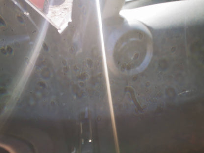 2012 MINI COOPER RIGHT REAR DOOR LOCK, R60, 01/11-09/16 51227229460 DOOR BOOT GATE LOCK