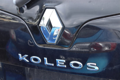 2010 RENAULT KALEOS H45 09/08-10/11  COURTESY LIGHT