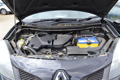 2010 RENAULT KALEOS H45 09/08-10/11  COURTESY LIGHT