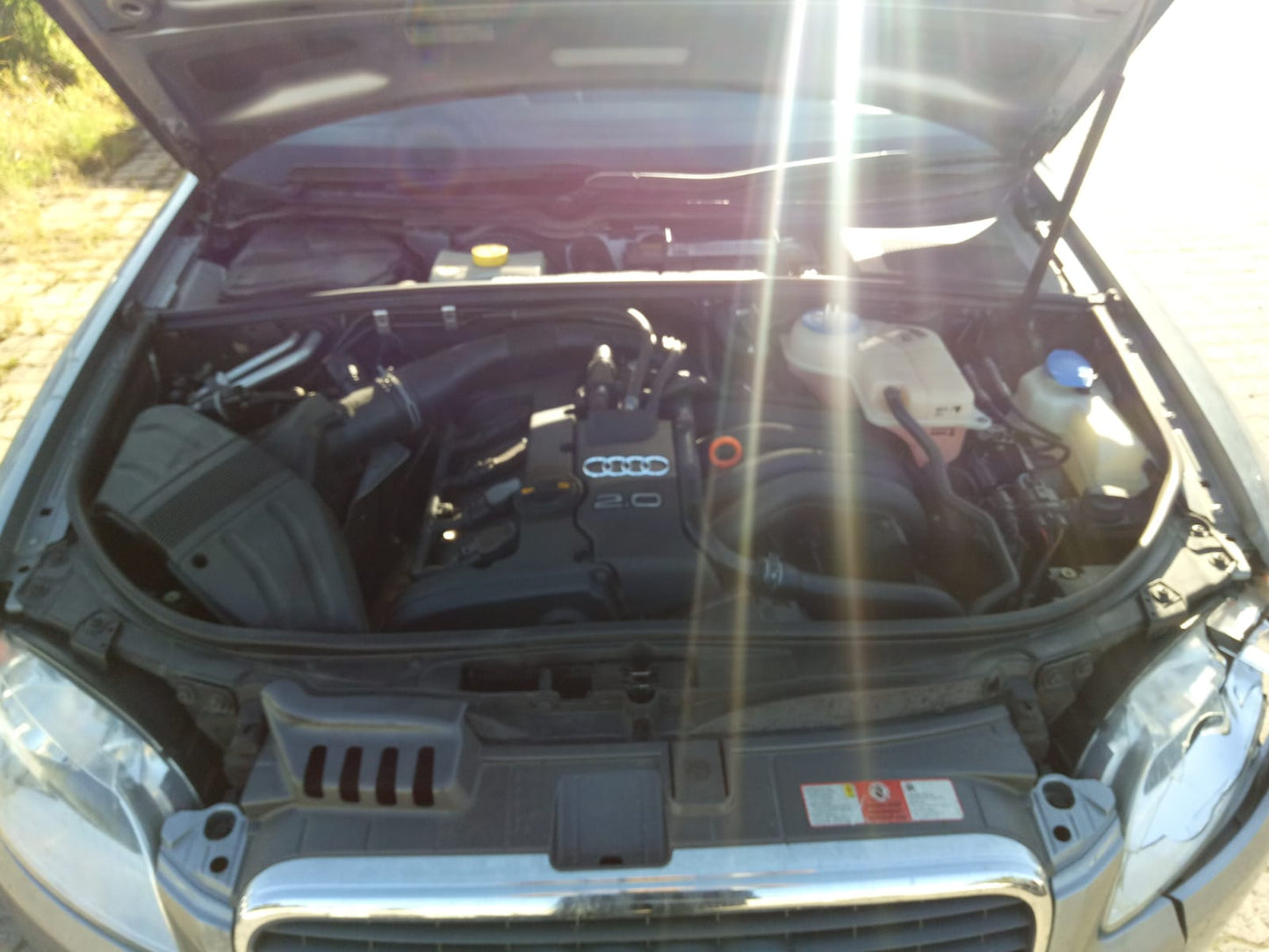 image_7