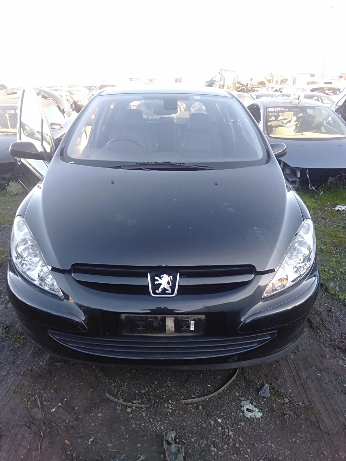 2004 PEUGEOT 307 T5, HATCH/WAGON, 12/01-09/05 7841N7 RIGHT GUARD