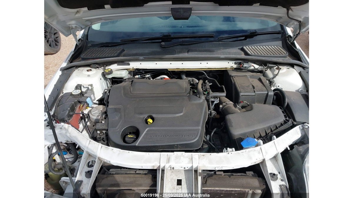 image_6