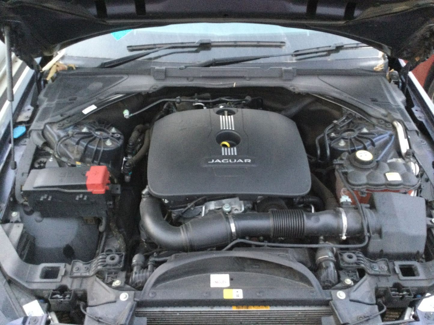 image_5
