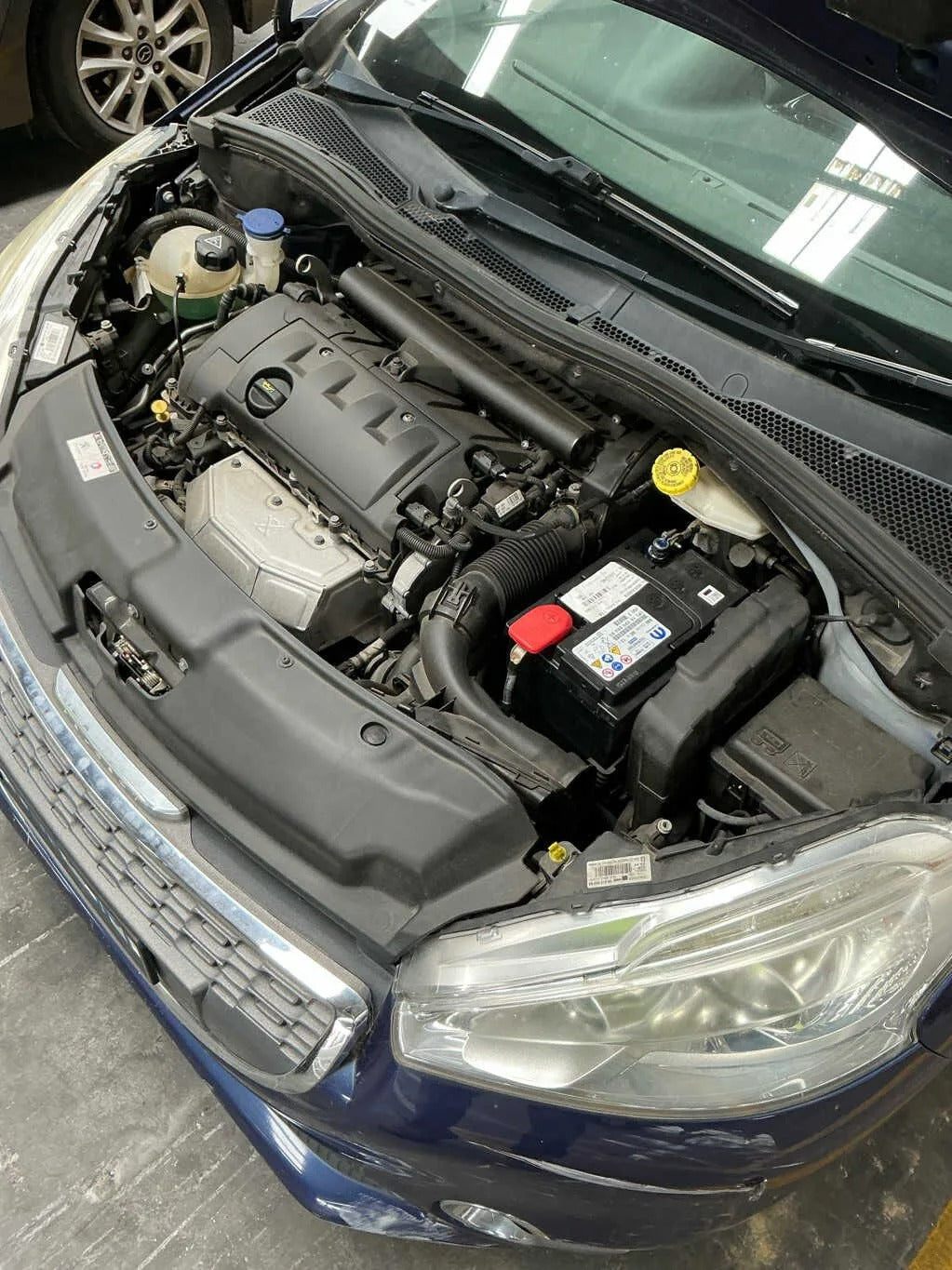 image_7